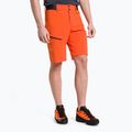 Herren Salewa Pedroc Cargo 2 Wandershorts orange 26934