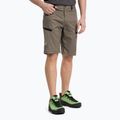 Salewa Lavaredo Hemp Herren Wandershorts braun 00-0000028033