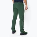Herren Softshellhose Salewa Pedroc 3 DST grün 00-0000026955 3