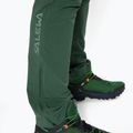 Herren Softshellhose Salewa Pedroc 3 DST grün 00-0000026955 5