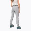 Damen Softshellhose Salewa Pedroc 3 DST grau 00-0000026956 3