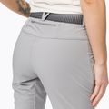 Damen Softshellhose Salewa Pedroc 3 DST grau 00-0000026956 5