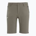 Salewa Herren Wandershorts Talveno DST braun 00-0000027064 4