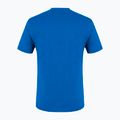 Herren-Trekking-T-Shirt Salewa Alpine Hemp Logo blau 00-0000028132 5