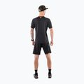 Herren DYNAFIT Alpine 2 Laufshirt grün 08-0000071456 2