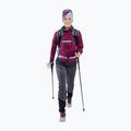 DYNAFIT Performance 2 Dry Stirnband lila-blau 08-0000070896 2