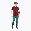 Herren DYNAFIT Traverse 2 Wander-T-Shirt kastanienbraun 08-0000070670
