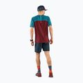 Herren DYNAFIT Alpine Pro Laufshirt kastanienbraun 08-0000070964 2
