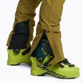DYNAFIT Herren Skitourenhose Mercury 2 DST grün 08-0000070743 6