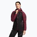 DYNAFIT Damen Skitjacke Radical Dwn RDS Hood rot 08-0000070915