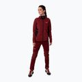 Salewa Damen Trekking Sweatshirt Lavaredo Hanf mit Kapuze rot 00-0000028238