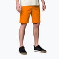 Herren Wild Country Session Klettershorts orange 40-0000095193 3