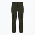 Herren Softshellhose Salewa Puez DST Cargo grün 00-0000028310 7