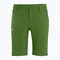 Salewa Talveno DST Herren Wandershorts hellgrün 00-0000027064 4