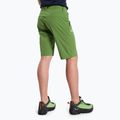 Salewa Talveno DST Herren Wandershorts hellgrün 00-0000027064 3