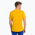Salewa Herren-Trekkinghemd Puez Hybrid 2 Dry gelb 27397 3