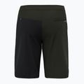 Salewa Lavaredo Hanf Ripstop Herren Kletterhosen schwarz 00-0000028552 6