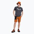 Salewa Herren Kletterhosen Lavaredo Hanf Ripstop braun 00-0000028552 2