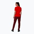 Damen-Trekkinghose Salewa Pedroc 2 DST 2/1 kastanienbraun 00-0000028588 2