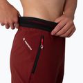 Damen-Trekkinghose Salewa Pedroc 2 DST 2/1 kastanienbraun 00-0000028588 5