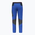 Herren-Trekkinghose Salewa Pedroc 2 DST Hellblau 00-0000028597 6