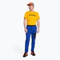 Herren-Trekkinghose Salewa Pedroc 2 DST Hellblau 00-0000028597 2