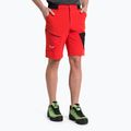 Herren Salewa Pedroc 3 DST Cargo-Trekking-Shorts rot 00-0000028601