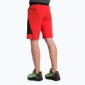 Herren Salewa Pedroc 3 DST Cargo-Trekking-Shorts rot 00-0000028601 3