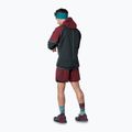 Laufjacke Herren DYNAFIT Alpine GTX burgundy 3