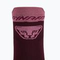 Laufsocken DYNAFIT Transalper burgundy 4