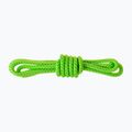 Salewa Ortles Master Cord 6mm Vorgeschnittenes grünes Kletterseil