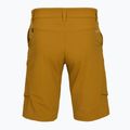 Trekking Shorts Herren Salewa Puez DST Cargo golden brown 2