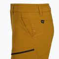 Trekking Shorts Herren Salewa Puez DST Cargo golden brown 4