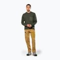 Sweatshrit Hoodie Trekking Herren Salewa Fanes Dry Pullover dark olive 2