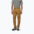 Herren-Trekkinghose Salewa Puez Hemp/Dst 2/1 goldbraun