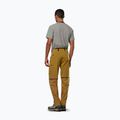 Herren-Trekkinghose Salewa Puez Hemp/Dst 2/1 goldbraun 3