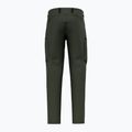 Trekking Hose Herren Salewa Puez Hemp Dst dark love 8