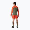 Herren DYNAFIT Alpine Pro Thymian Lauf-Longsleeve 3