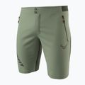 Herren DYNAFIT Transalper Light Dynastretch Salbei-Trekking-Shorts 4