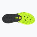 Laufschuhe DYNAFIT Alpine DNA 2 nimbus/blackout 2