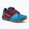 Laufschuhe Herren DYNAFIT Alpine Pro 2 storm blue/burgundy