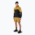 Herren DYNAFIT Alpine Pro 2IN1 tobacco Laufshorts 2