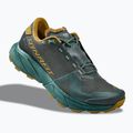 Herren-Laufschuhe DYNAFIT Ultra 100 GTX lichen/atlantic 10