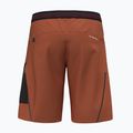 Herren-Trekking-Shorts Salewa Pedroc 3 DST Cargo bombay braun/0910 2