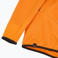 Herren Trekkingpullover Salewa Agner Hybrid PL/DST FZ Hoody turmeric melange/0910 4
