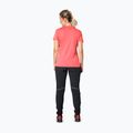 DYNAFIT Traverse 2 cabana Damen-Trekking-Shirt 3