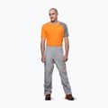 Herren-Trekkinghose Salewa Nxt Ptx 3L alloy 2
