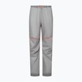 Herren-Trekkinghose Salewa Nxt Ptx 3L alloy 7