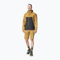 Herren DYNAFIT Transalper GTX Regenjacke relic/0910 2