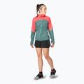 Women's DYNAFIT Alpine Wind cabana atlantic Laufjacke 3